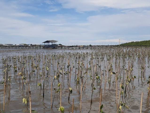 Ekowisata Untia